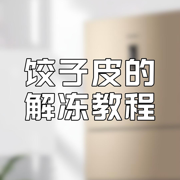 饺子皮的解冻教程